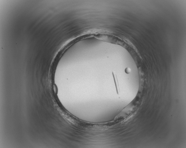 X0000066530981200604141835