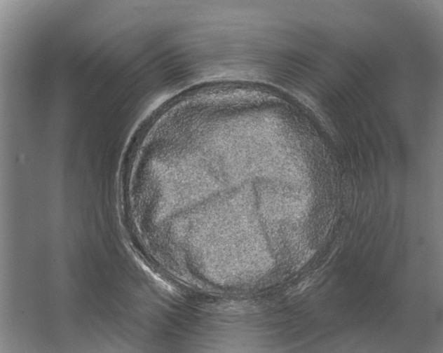 X0000066530982200604141835