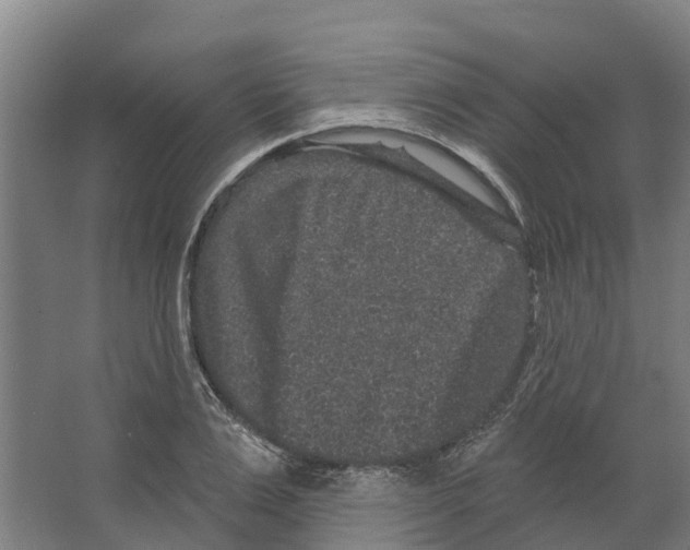 X0000066530983200604141835