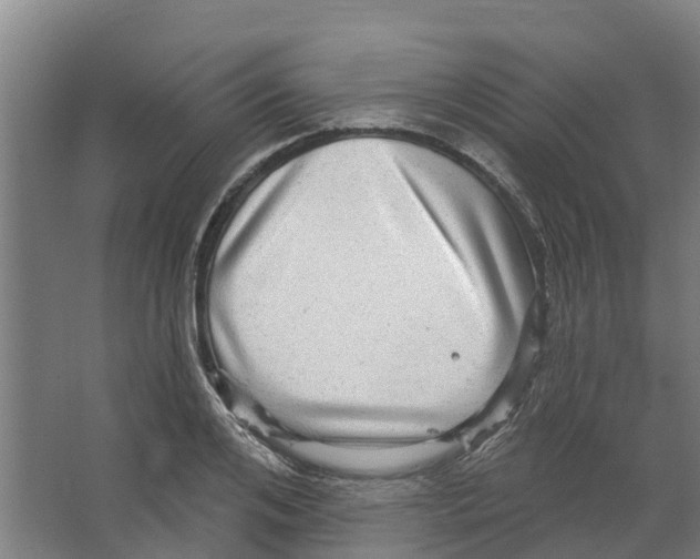 X0000066530984200604141835