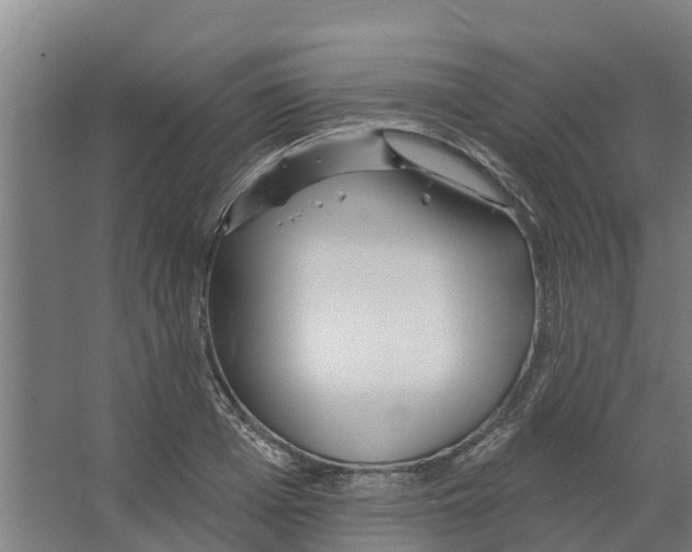 X0000066530985200604141835