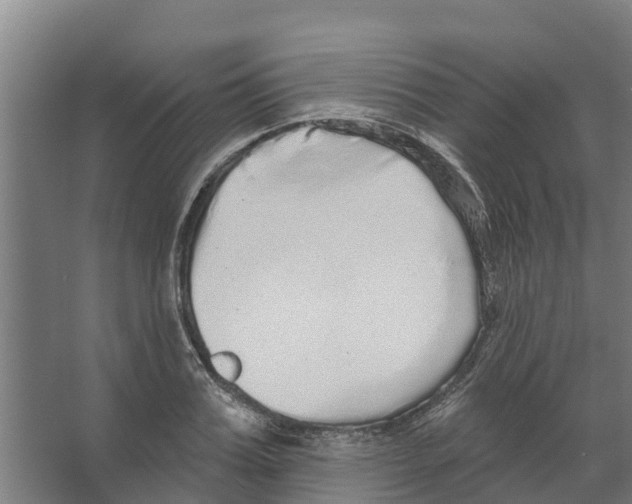 X0000066530987200604141835