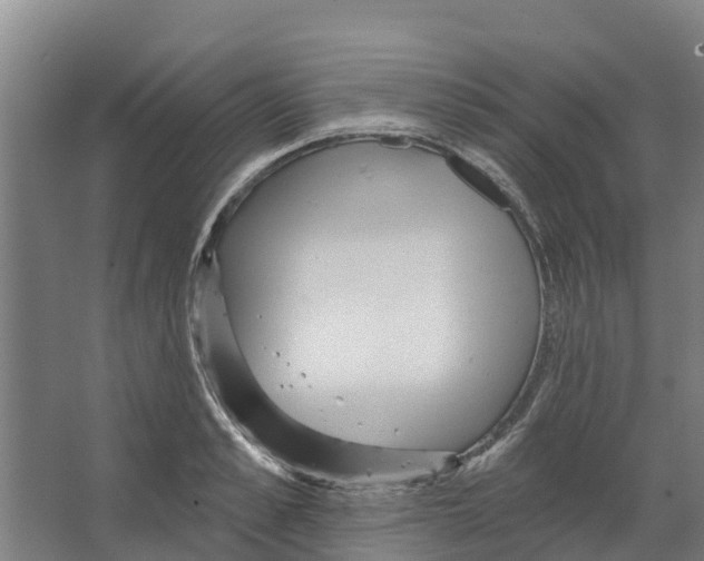 X0000066530989200604141835