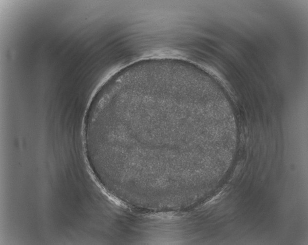 X0000066530990200604141835