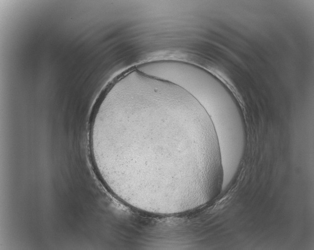 X0000066530992200604141835