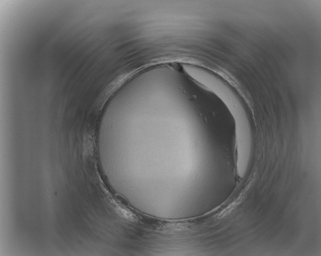 X0000066530993200604141835