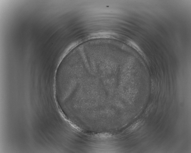 X0000066530994200604141835