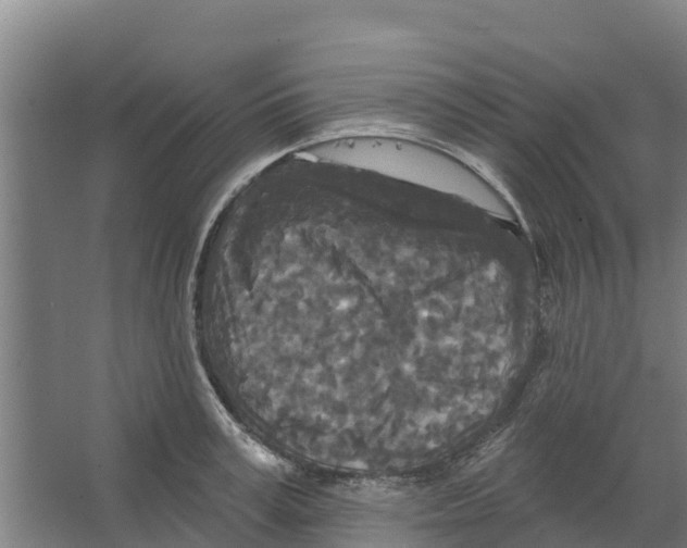 X0000066530995200604141835