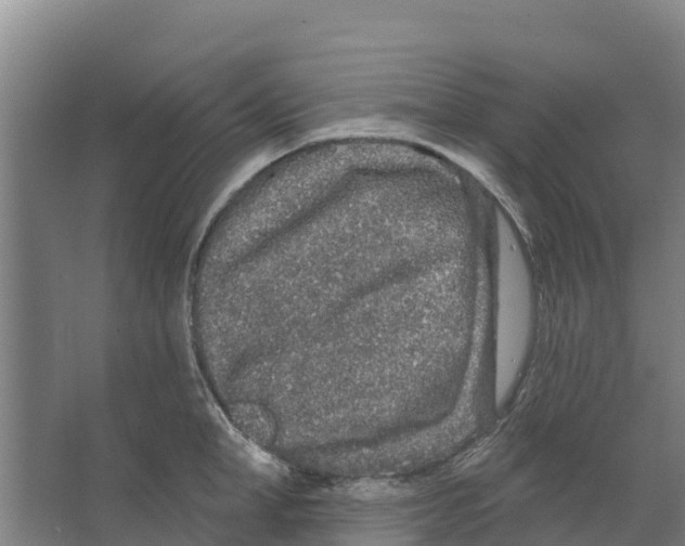 X0000066530998200604141835