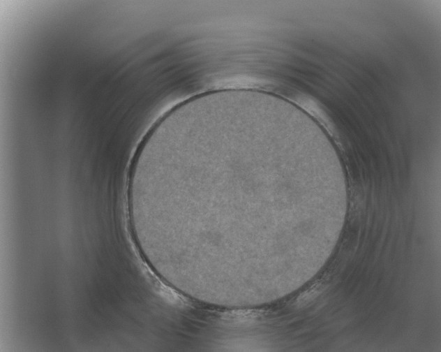 X0000066531000200604141835