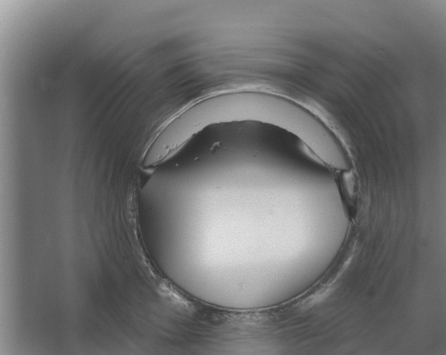 X0000066531001200604141835