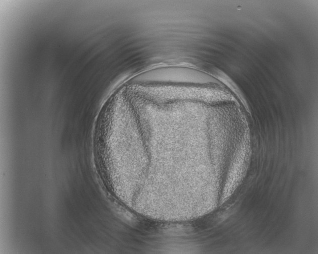 X0000066531002200604141835