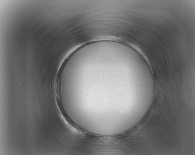 X0000066531003200604141835