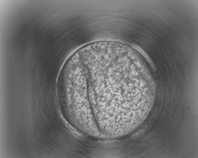 X0000066531004200604141835