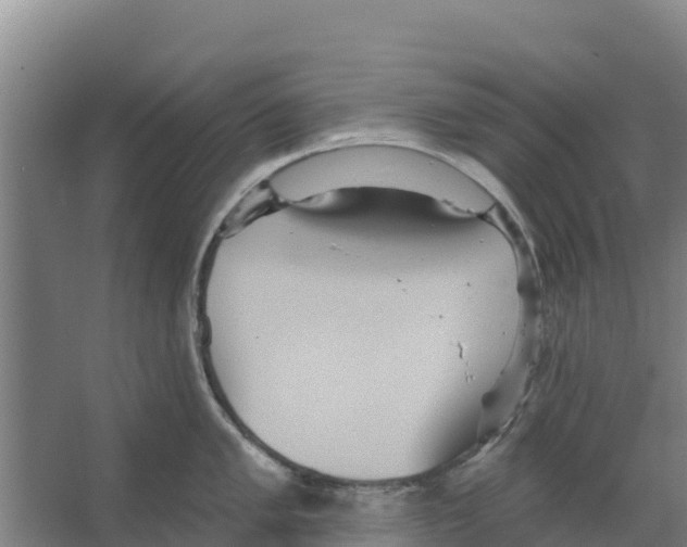 X0000066531005200604141835