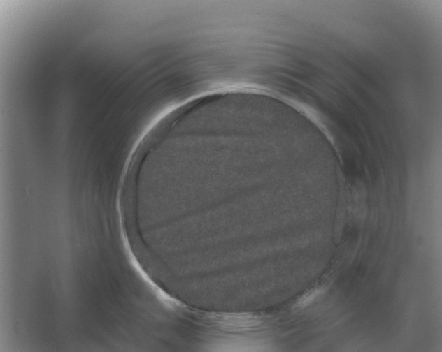 X0000066531007200604141835