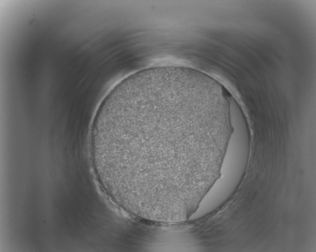 X0000066531008200604141835