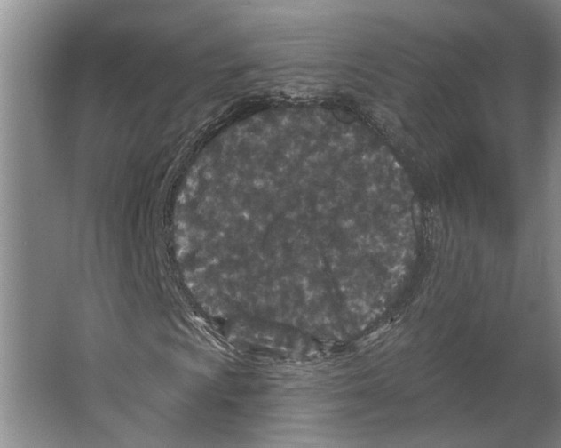 X0000066531009200604141834