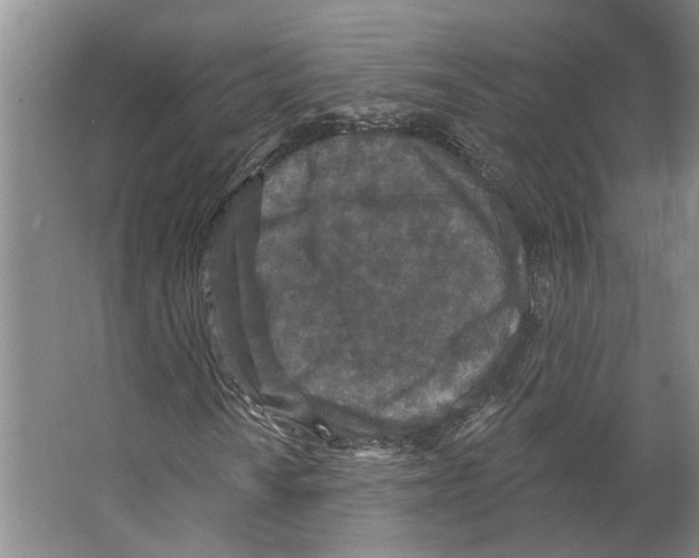 X0000066531010200604141834