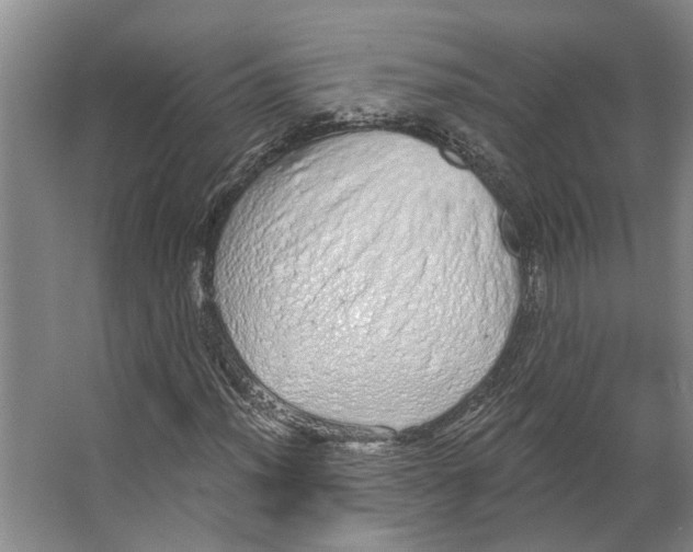 X0000066531012200604141834