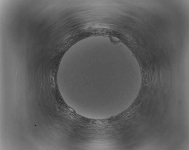 X0000066531013200604141834