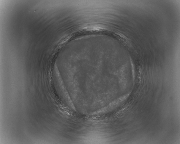 X0000066531014200604141834