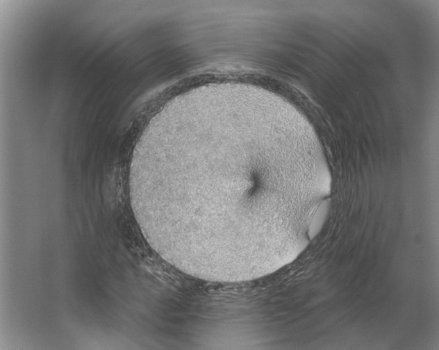 X0000066531016200604141834