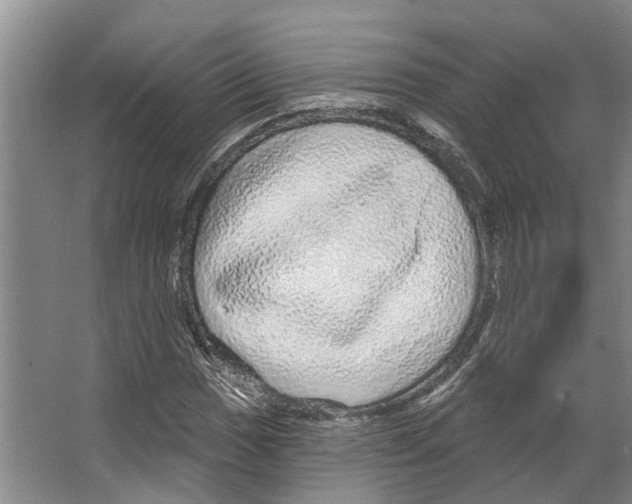 X0000066531017200604141834