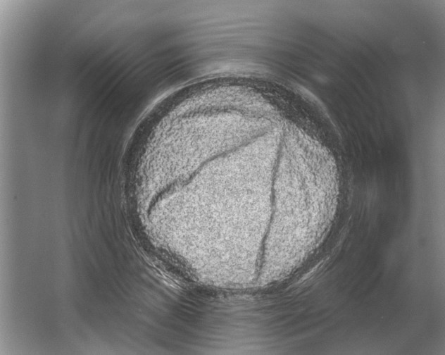 X0000066531019200604141834