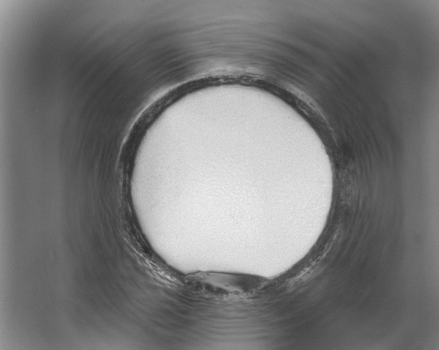 X0000066531021200604141834