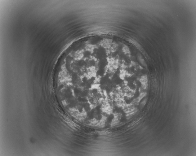 X0000066531023200604141834