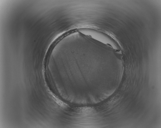 X0000066531024200604141834