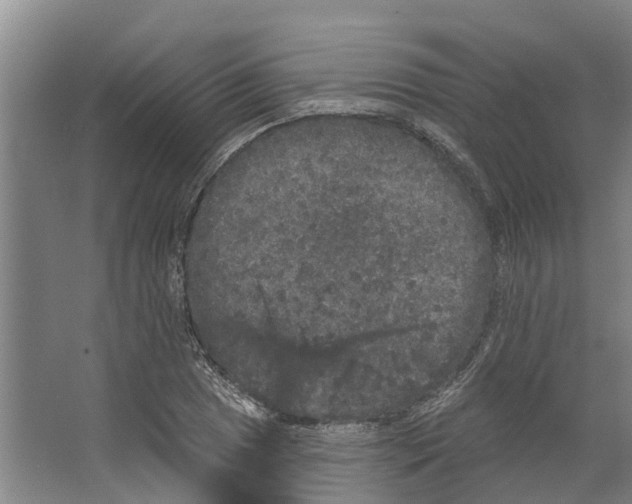 X0000066531025200604141834