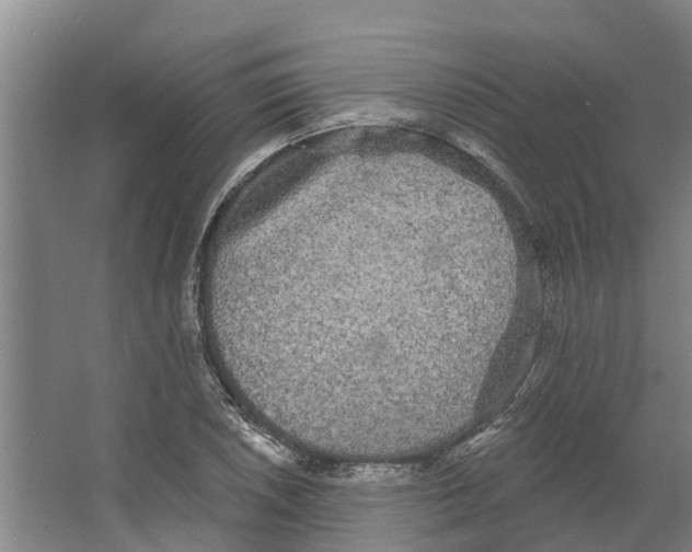 X0000066531026200604141834