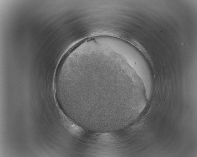 X0000066531028200604141834