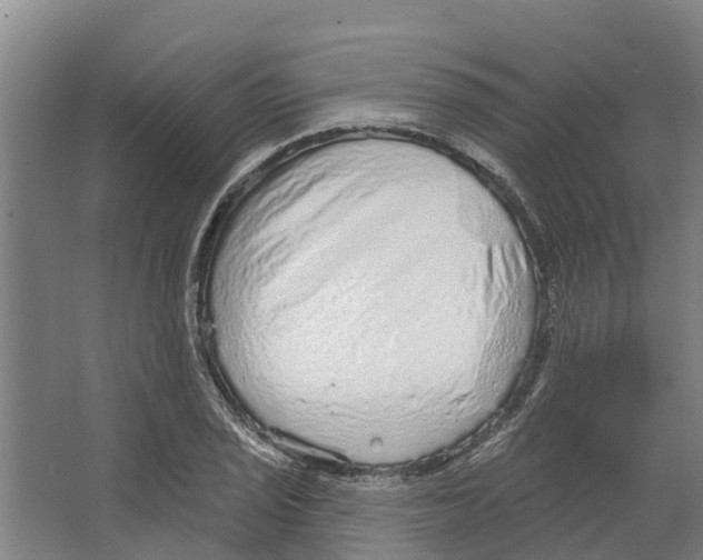 X0000066531029200604141834