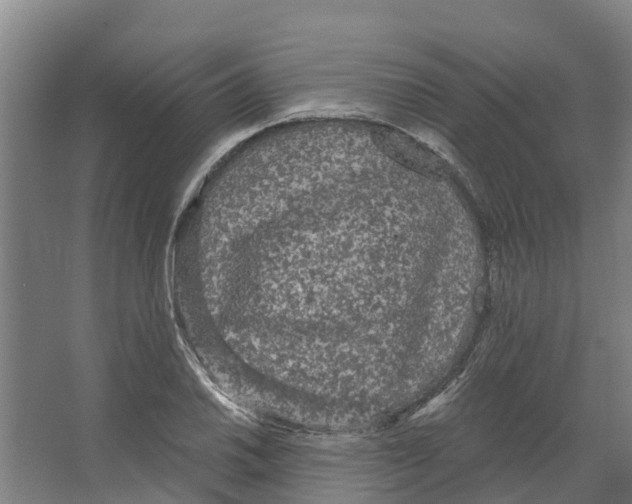 X0000066531030200604141834