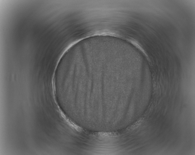 X0000066531032200604141834