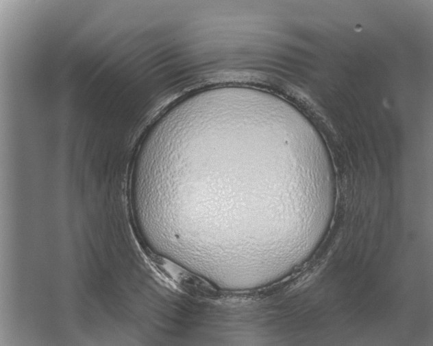 X0000066531033200604141834