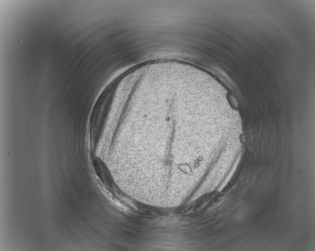 X0000066531036200604141834