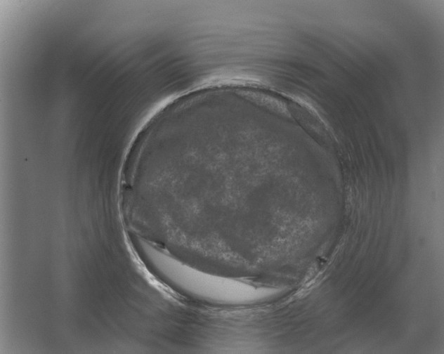 X0000066531038200604141834