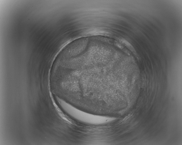 X0000066531039200604141834