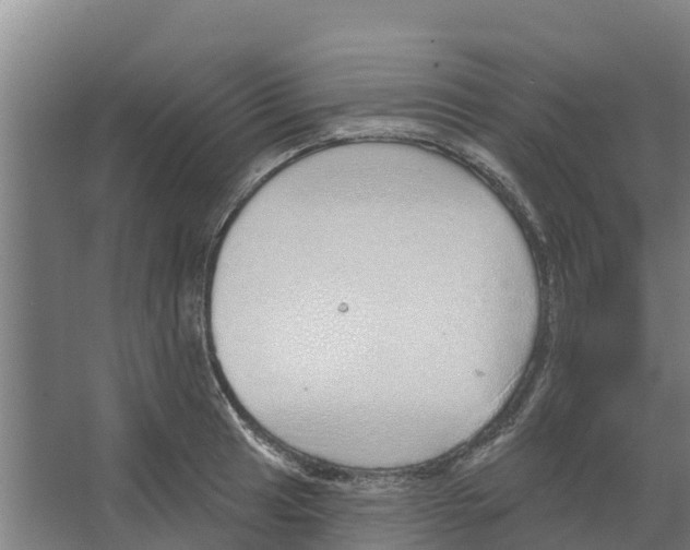 X0000066531041200604141834