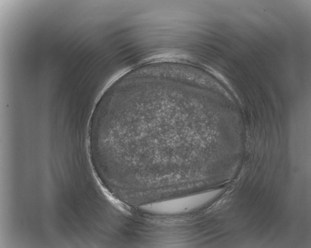 X0000066531042200604141834