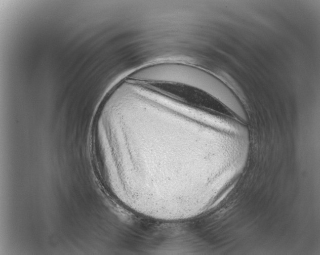 X0000066531044200604141834