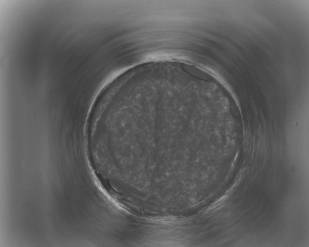 X0000066531045200604141834