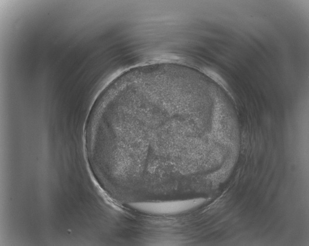 X0000066531047200604141834