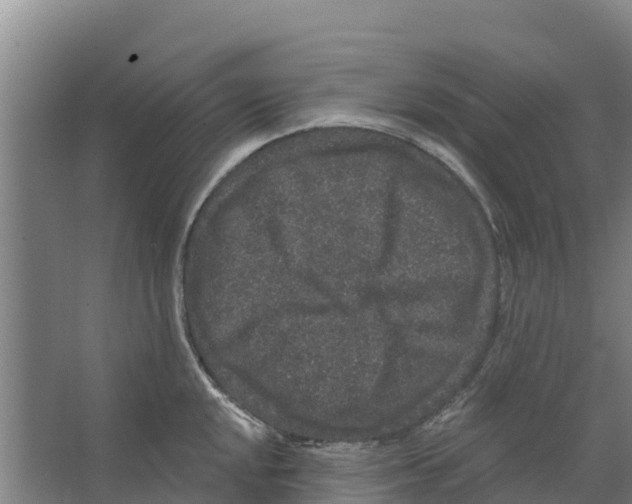 X0000066531048200604141835