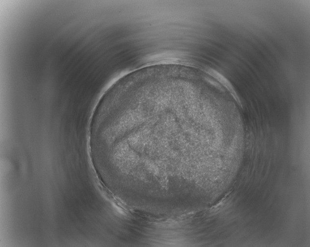 X0000066531051200604141835