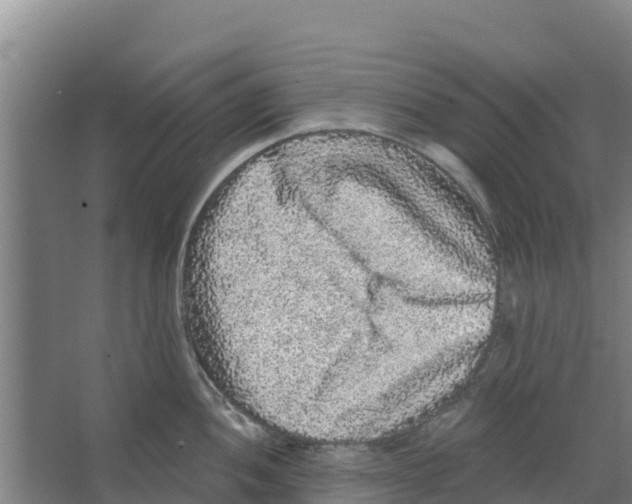 X0000066531052200604141835